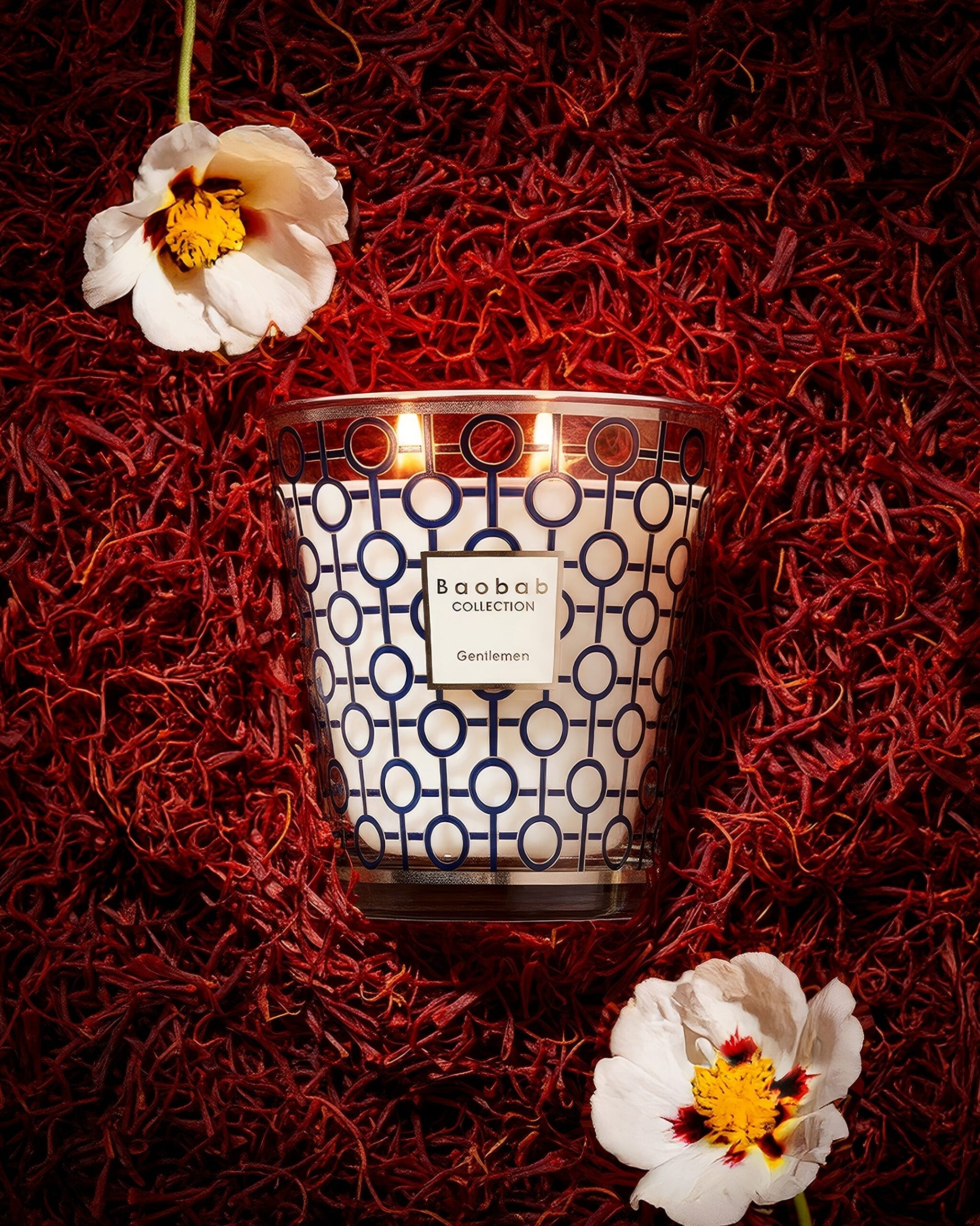 Baobab Collection Gentlemen — Bloom campaign, rum saffron and labdanum