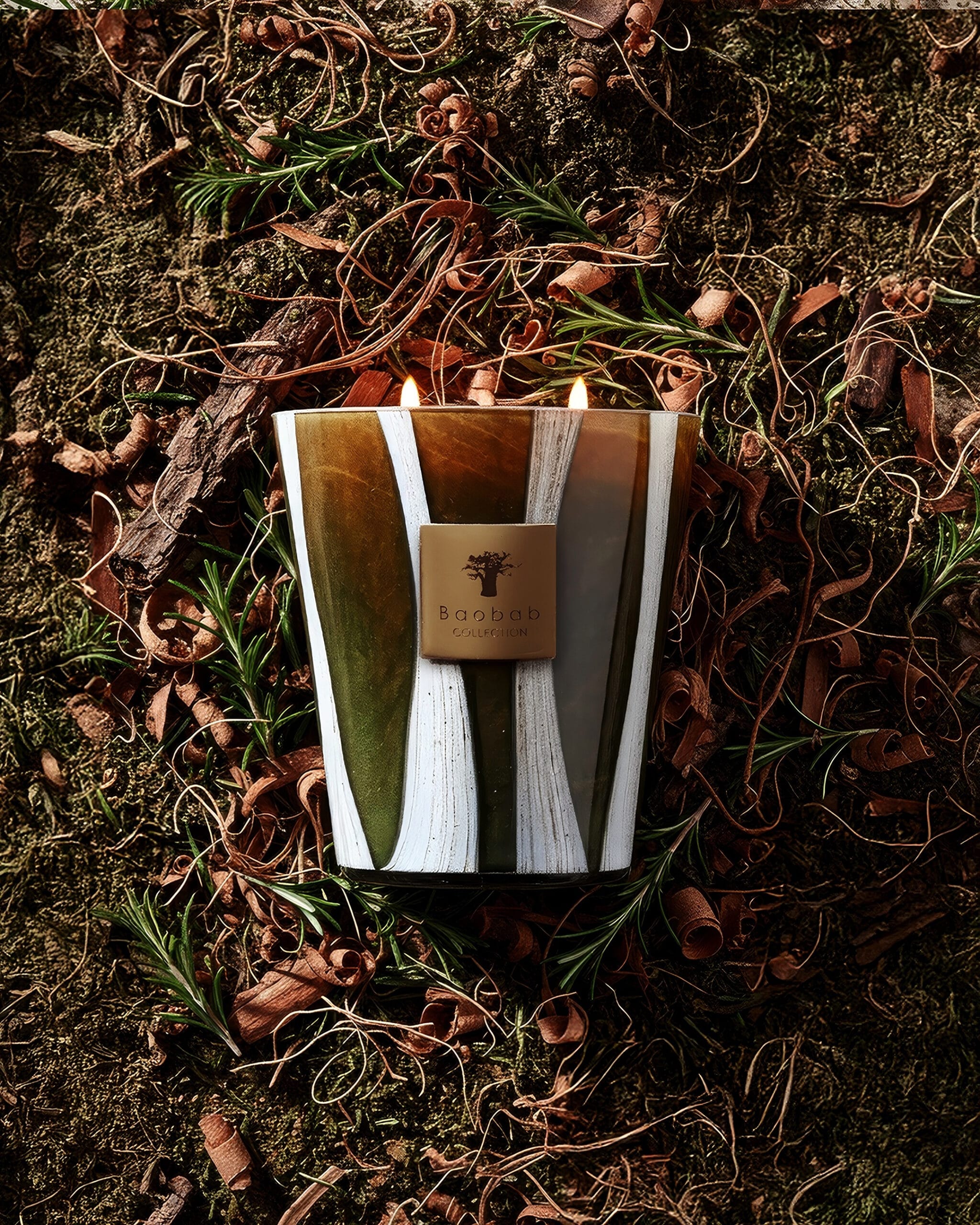 Baobab Collection Woods Sherwood — Bloom campaign, rosemary cedar and vetiver